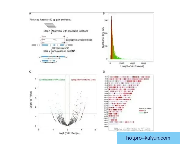 阿尔进攻套路分析：提升球队整体竞争力的关键策略